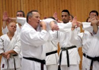 Geschützt: Gefährtentraining mit Sensei Kiiskilä