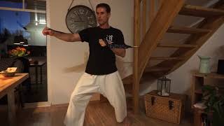 Karate Heim-Training Session 12